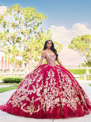 Sweetheart Lace Embroidery Floral Appliques Quinceanera Ball Gown