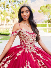 Sweetheart Lace Embroidery Floral Appliques Quinceanera Ball Gown