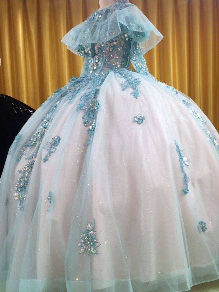 3D-Floral Long Sleeve Laced Back Tulle Capped Quinceanera Ball Gown