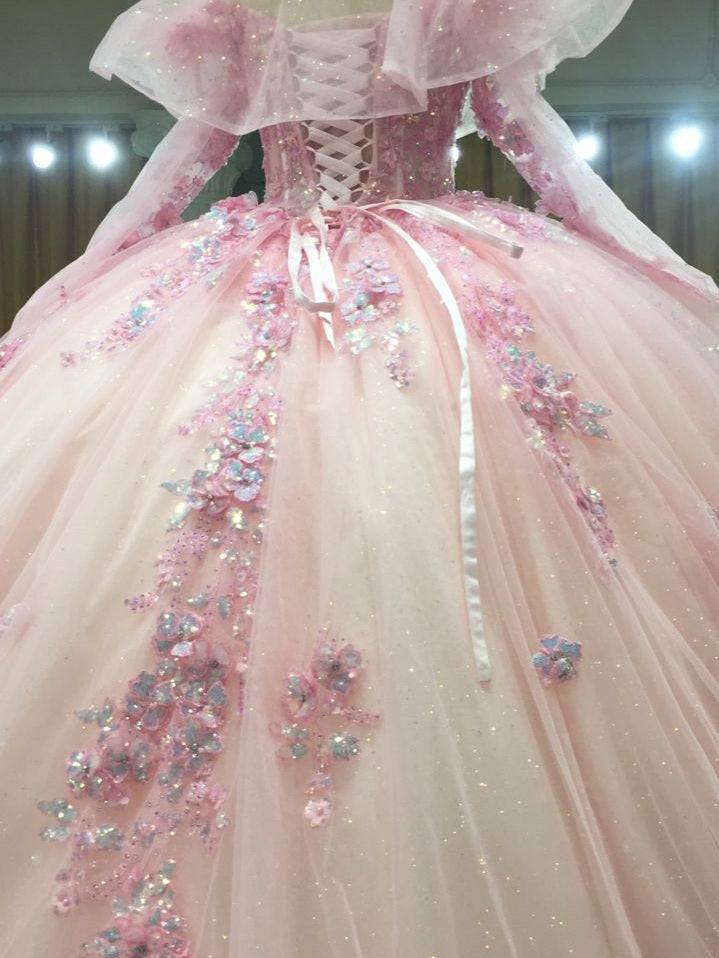 3D-Floral Long Sleeve Laced Back Tulle Capped Quinceanera Ball Gown