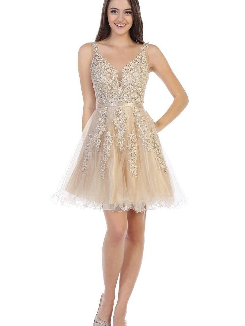 Stunning Fit and Flare Lace Embroidery Rhinestones Satin Belt Dress Champagne / 3XL