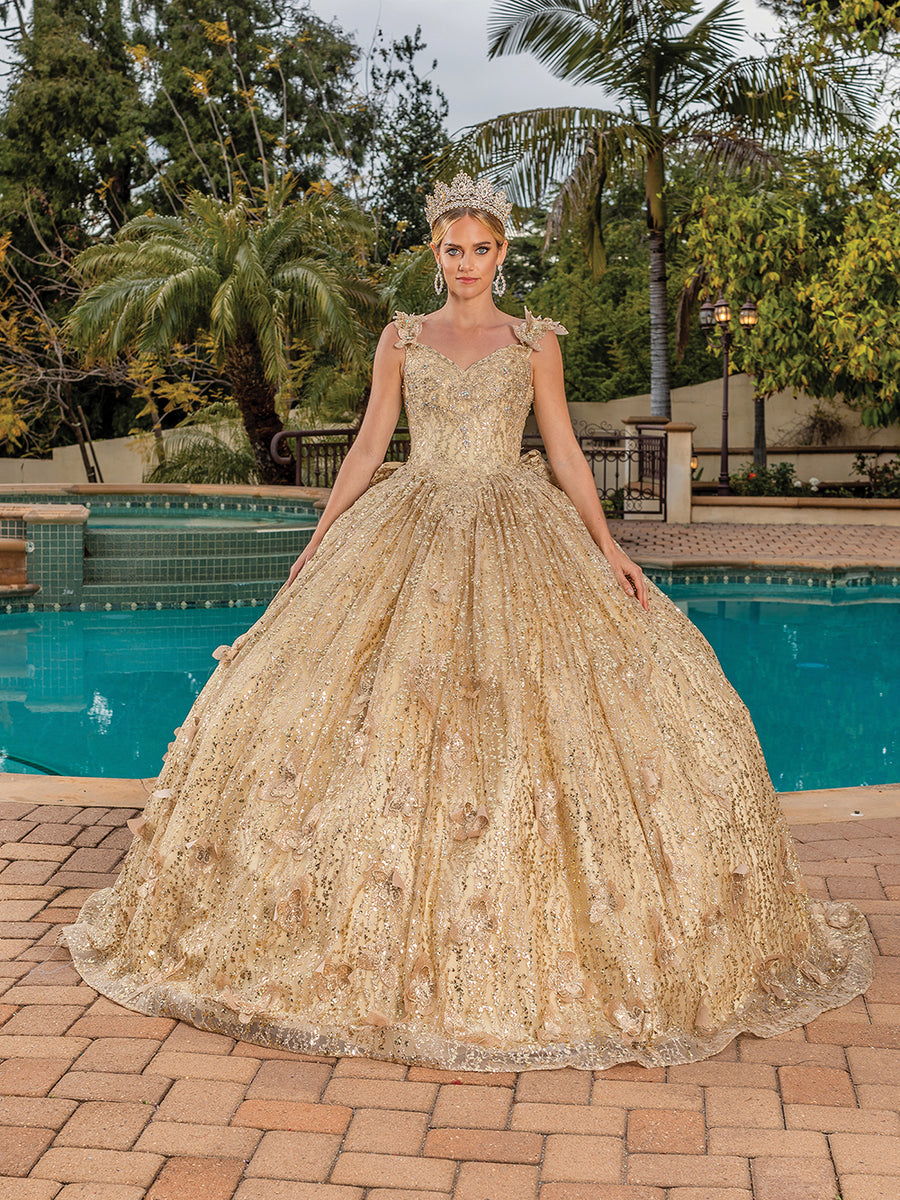 Stunning Embellished Beaded Quinceanera Ball Gown