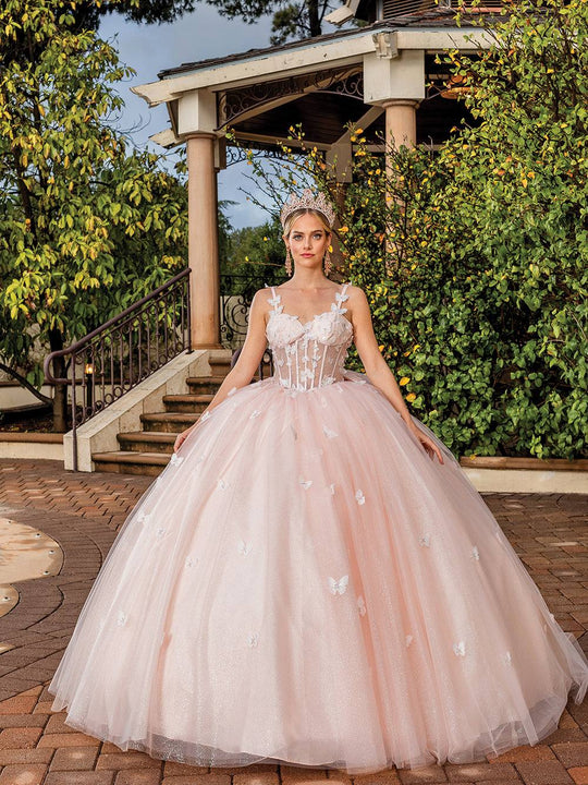 Butterfly Sweetheart Embellished Translucent Quinceanera Ball Gown