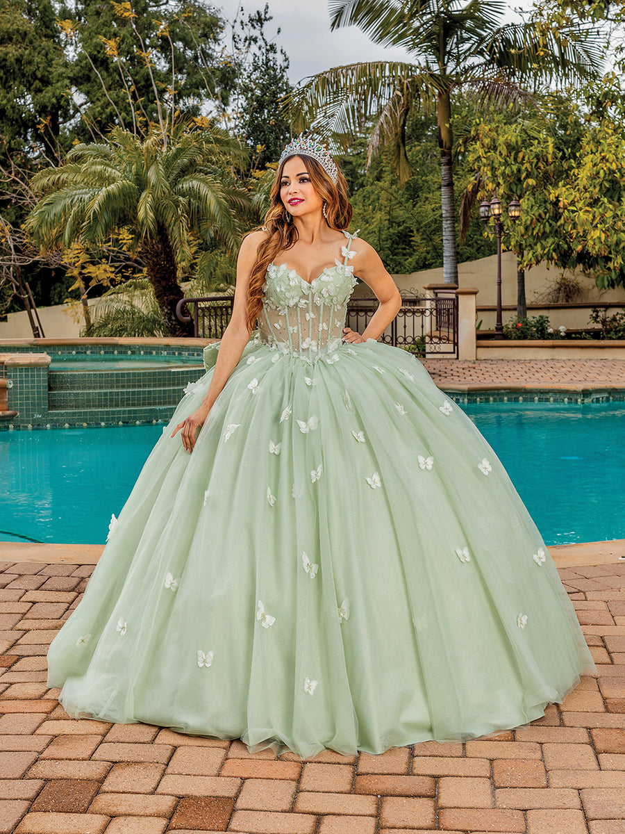 Butterfly Sweetheart Embellished Translucent Quinceanera Ball Gown