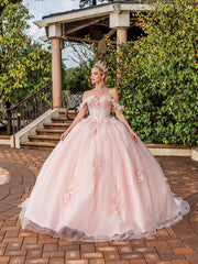 Floral-Embroidered Off The Shoulder Mesh Layered Quinceanera Ball Gown