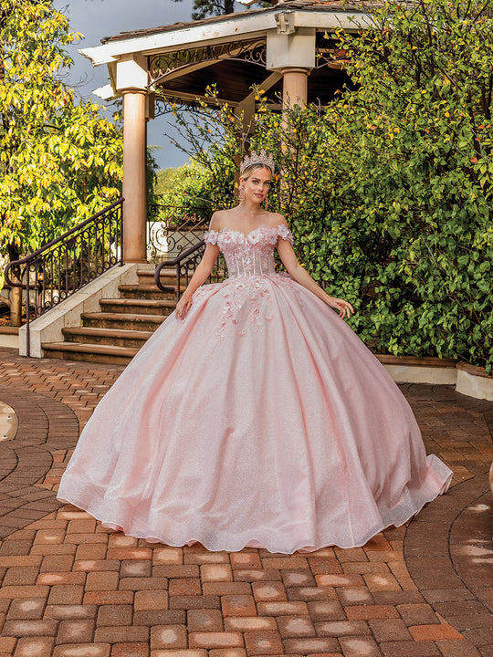 Floral Sparkling Off The Shoulder Tulle Quinceanera Ball Gown