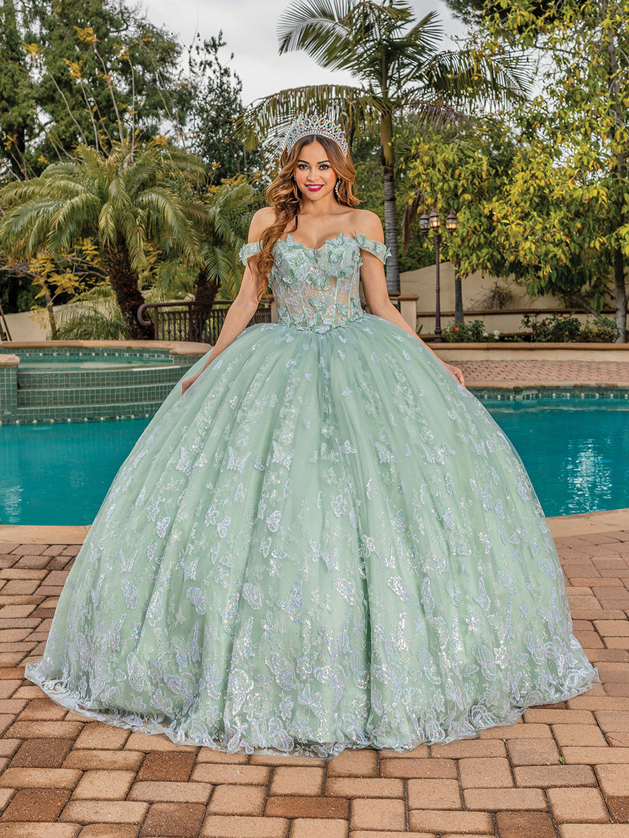 Off The Shoulder Embroidered Butterfly Translucent Quinceanera Ball Gown