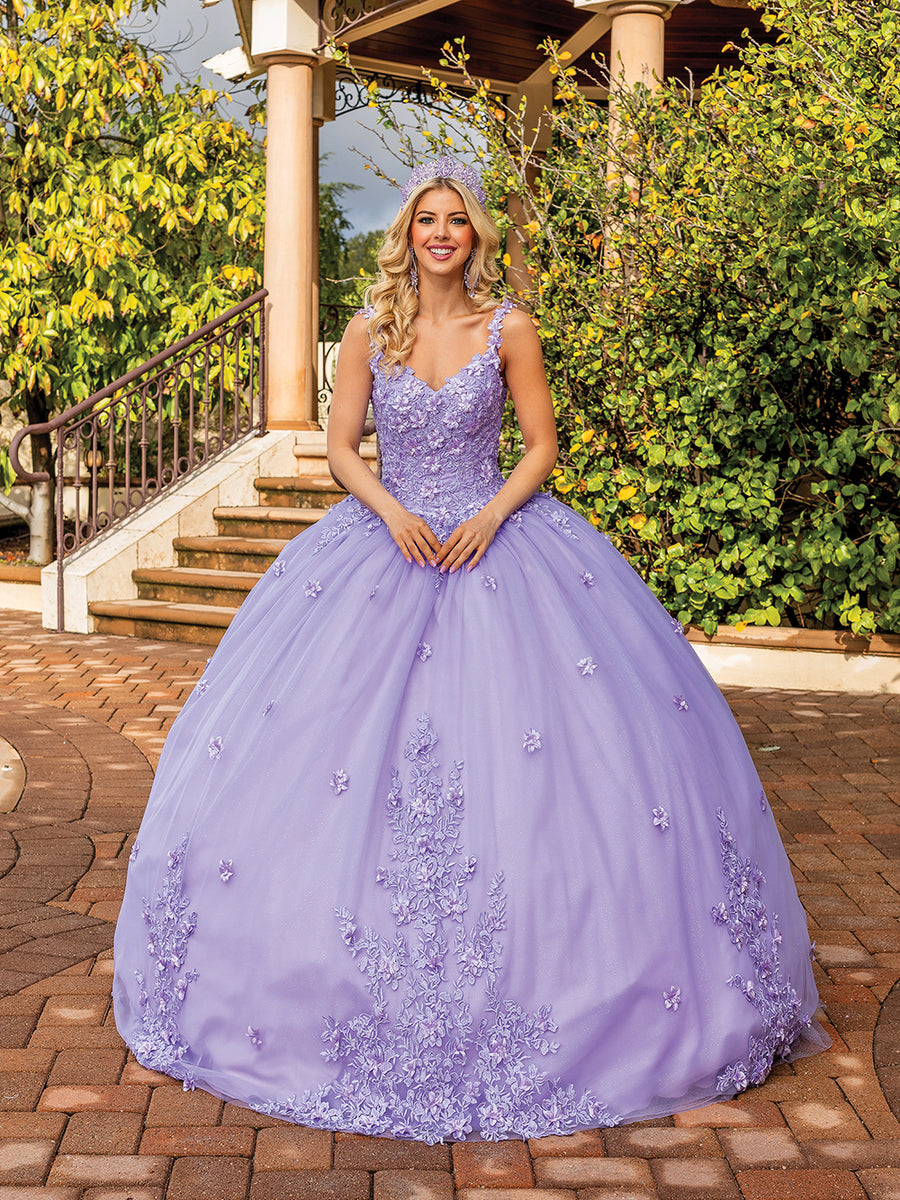 Floral Embroidered V-Neck Quinceanera Ball Gown