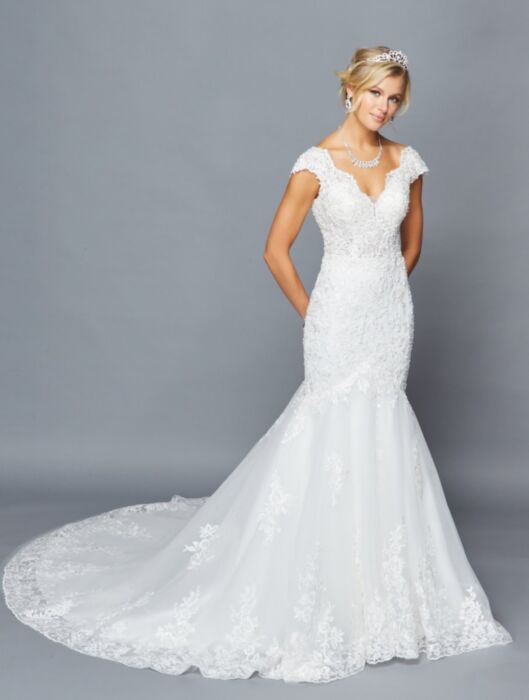 Exquisite Scalloped V-Neckline Illusion Panel Mermaid Style Wedding Dress
