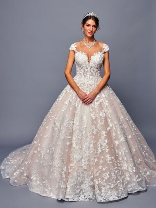 Stunning Illusion Boat Neckline A-Line Nude Silhouette Wedding Dress