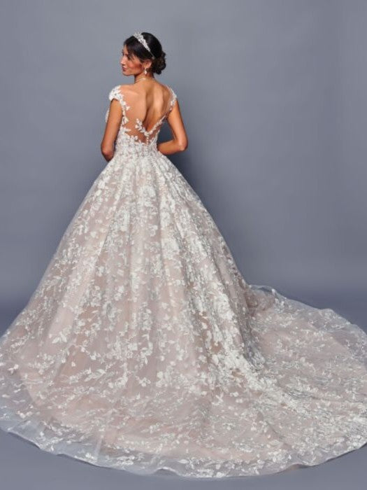 Stunning Illusion Boat Neckline A-Line Nude Silhouette Wedding Dress