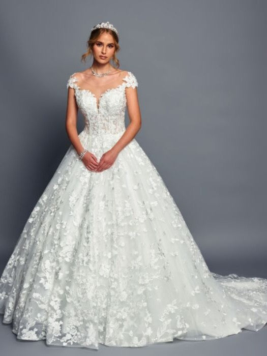 Stunning Illusion Boat Neckline A-Line Nude Silhouette Wedding Dress