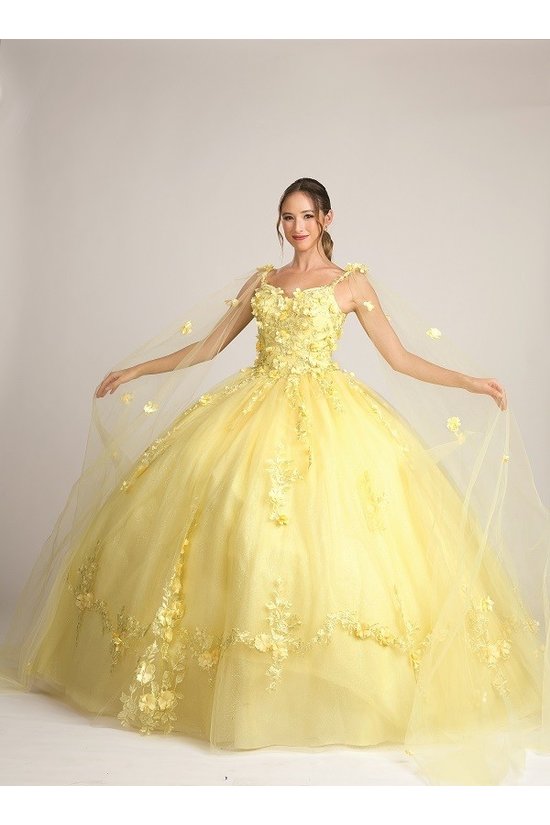 Floral Mesh Attachable Sleeve Tulle Quinceanera Ball Gown