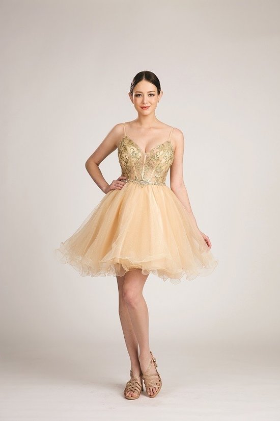 Embroidered V-Neck Tulle Fun Cocktail Party Dress