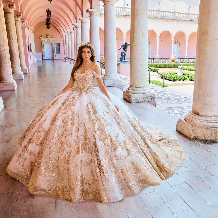 Stunning Embroidery Sweetheart Long Train Quinceanera Ball Gown