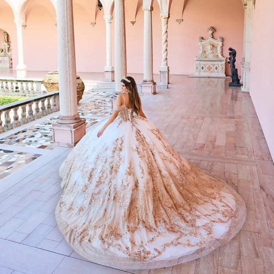 Stunning Embroidery Sweetheart Long Train Quinceanera Ball Gown