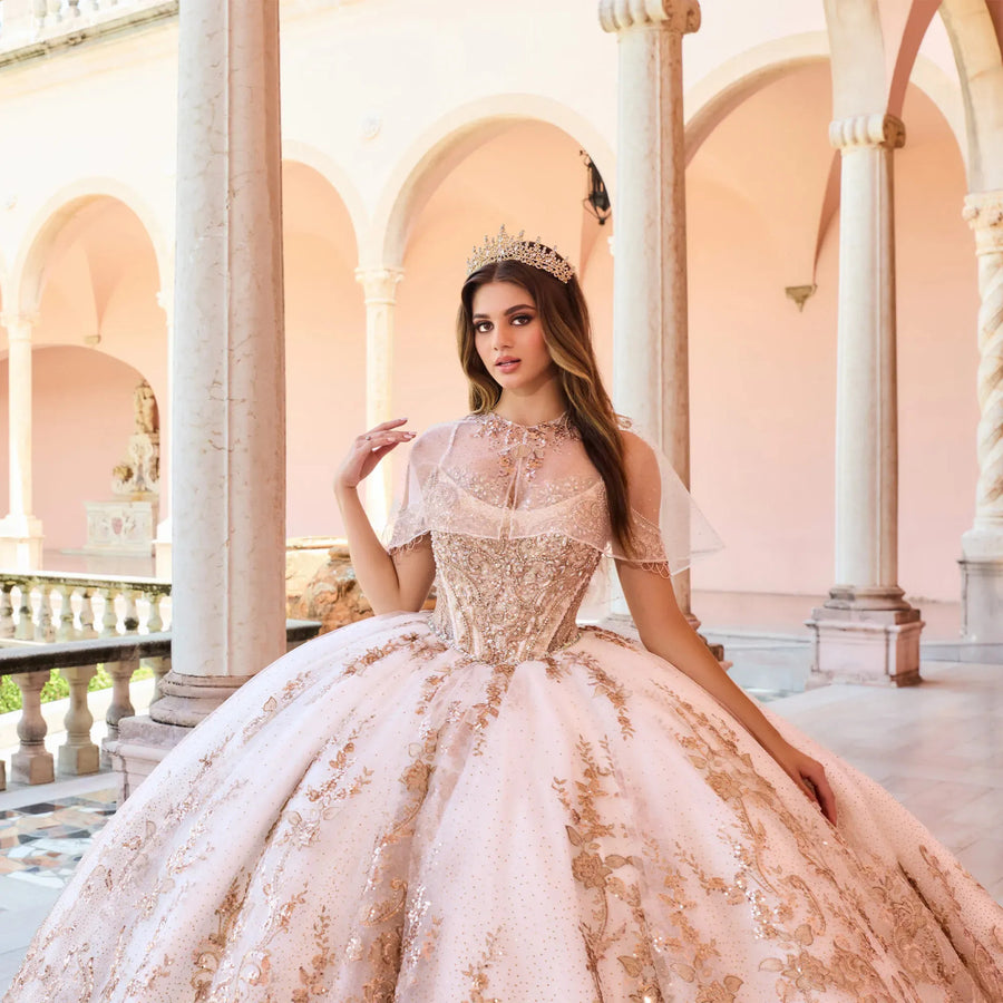 Stunning Embroidery Sweetheart Long Train Quinceanera Ball Gown