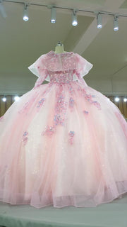 3D-Floral Long Sleeve Laced Back Tulle Capped Quinceanera Ball Gown