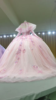 3D-Floral Long Sleeve Laced Back Tulle Capped Quinceanera Ball Gown