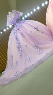 3D-Floral Long Sleeve Laced Back Tulle Capped Quinceanera Ball Gown