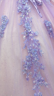 3D-Floral Long Sleeve Laced Back Tulle Capped Quinceanera Ball Gown