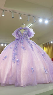 3D-Floral Long Sleeve Laced Back Tulle Capped Quinceanera Ball Gown