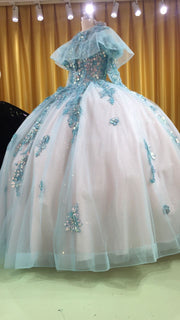 3D-Floral Long Sleeve Laced Back Tulle Capped Quinceanera Ball Gown