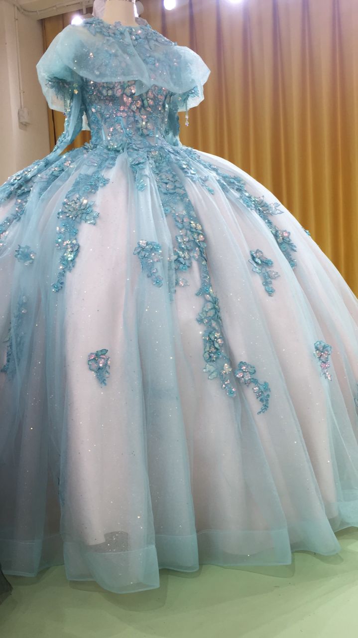 3D-Floral Long Sleeve Laced Back Tulle Capped Quinceanera Ball Gown