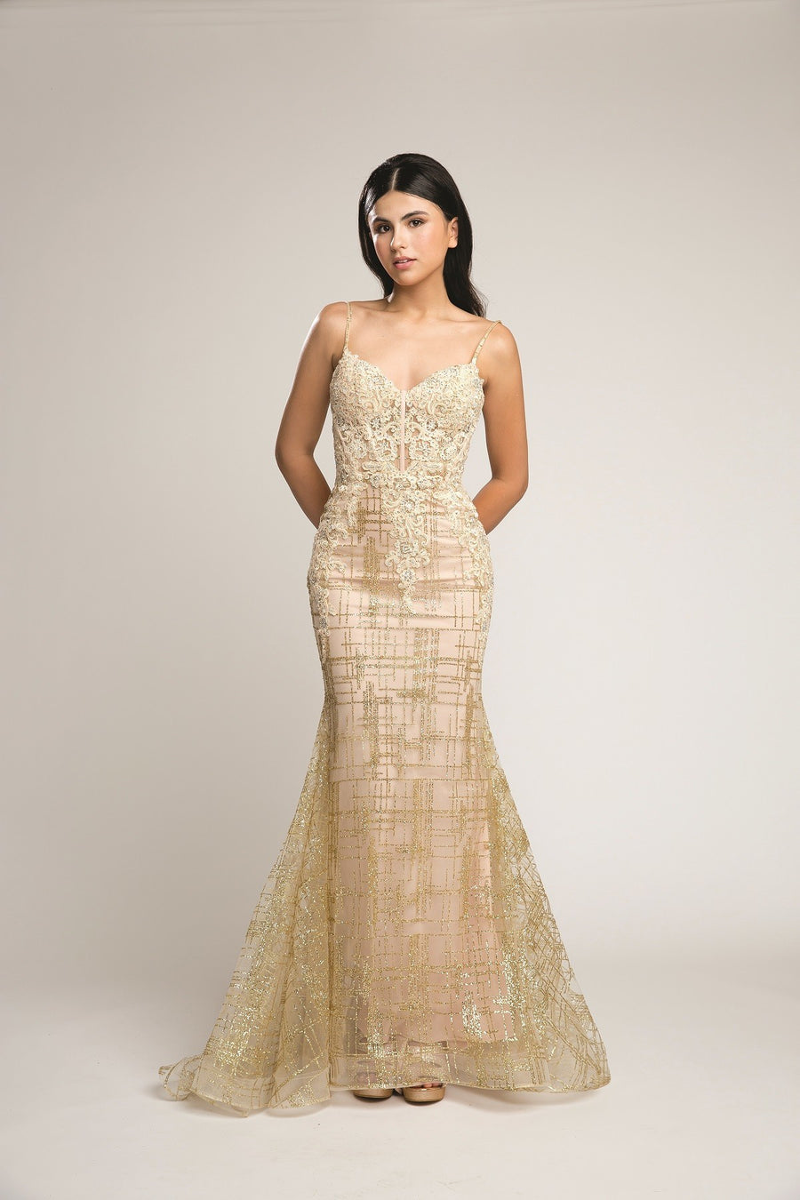 Stunning Mermaid Lace Embroidered Fitted Prom Dress