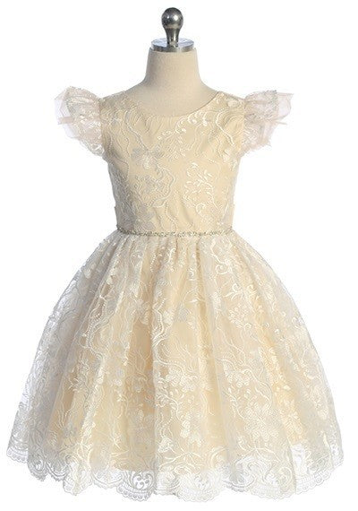 Lace Tulle Sleeve Layered Rhinestone Belt Girls Dress