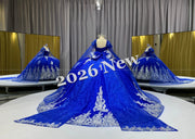 Floral 2026 Quinceañera Ball Gown with Embroidery & Full Skirt Multi-Color 15 Anos Dres
